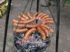 028_zmiana_rozmiaru~20.jpg