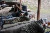 DSC_4535.JPG