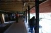 DSC_67261.jpg