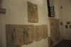 DSC_9607.JPG
